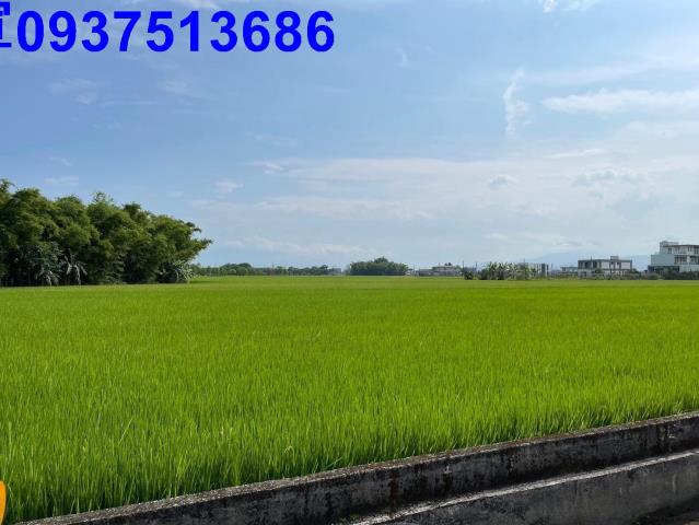 宜蘭礁溪農地-0