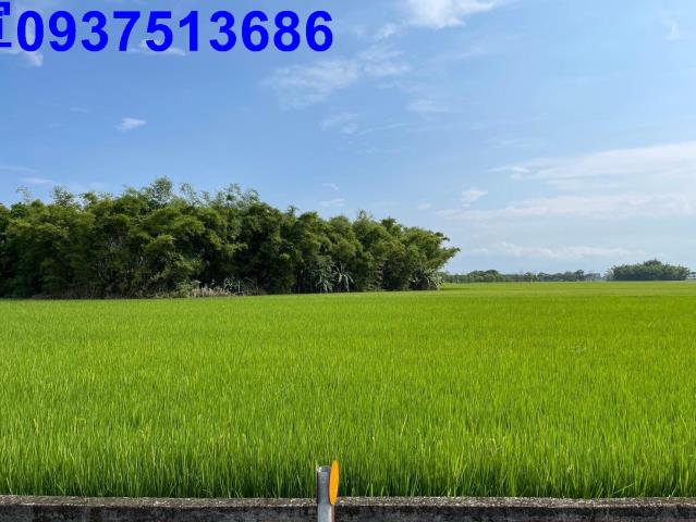 宜蘭礁溪農地-1