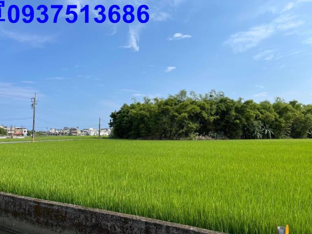 宜蘭礁溪農地-2