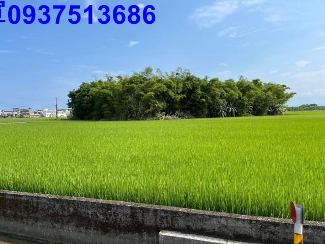 宜蘭礁溪農地-4