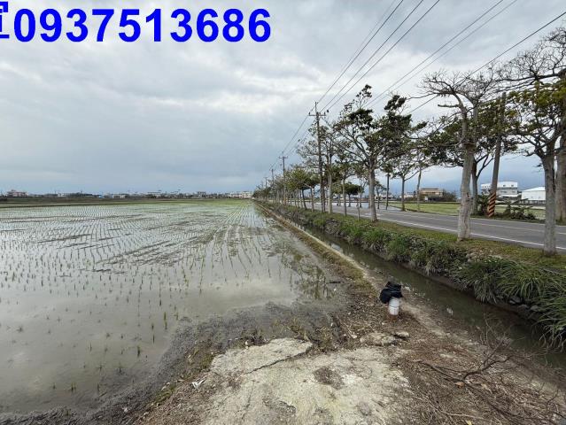 宜蘭壯圍農地-9