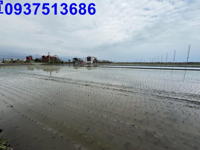 宜蘭壯圍農地-3