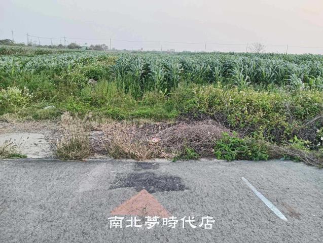台南農地-0