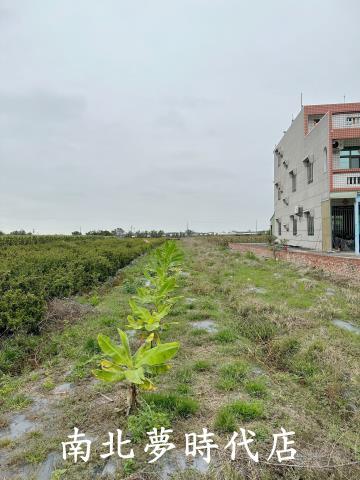 嘉義建地-6