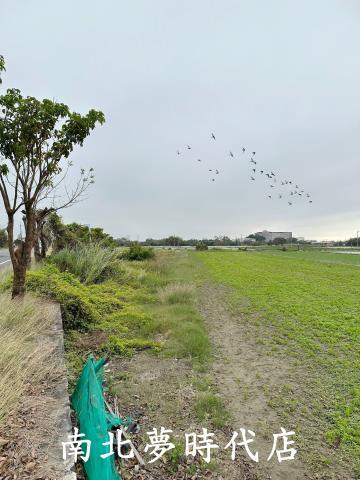 嘉義太保農地-7