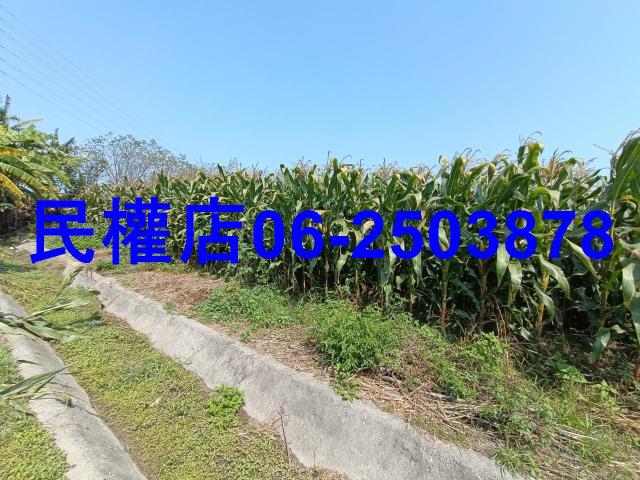 台南新營農地-9
