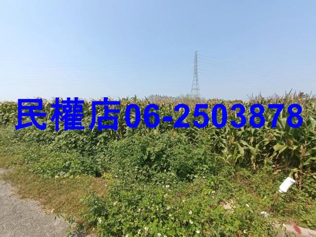 台南新營農地-6