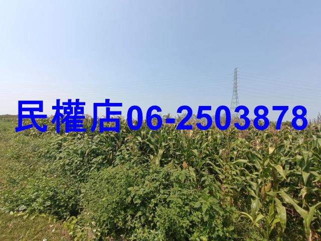 台南新營農地-7