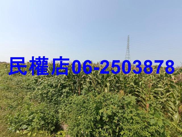 台南新營農地-8