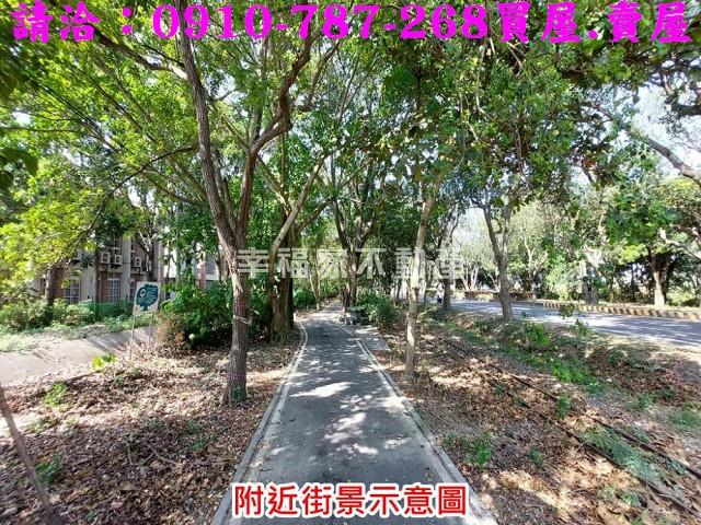 柳營農地-12