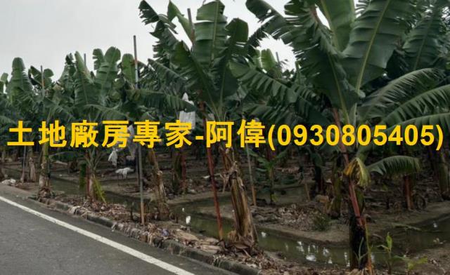 高雄農地-0