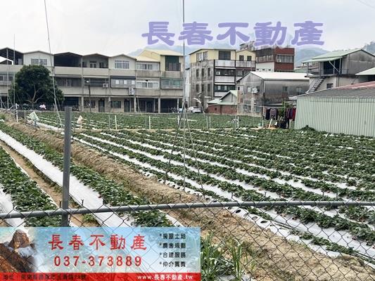 大湖建地-2