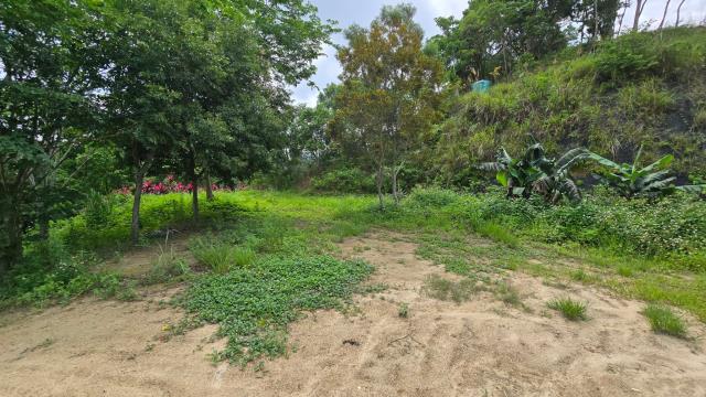 北埔農地-9