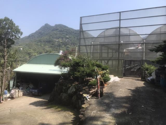 太平農地-0