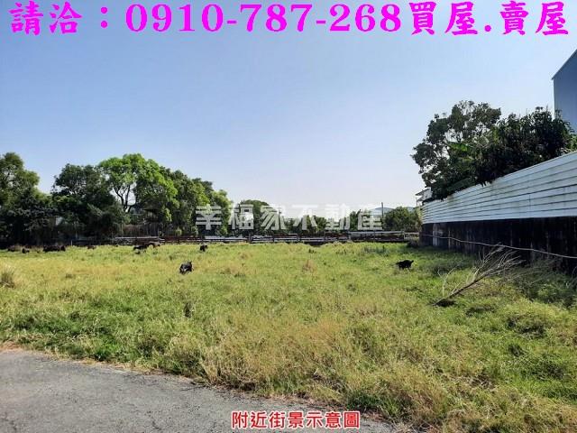 歸仁農地-3