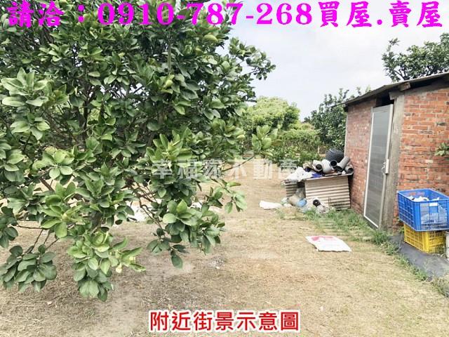 麻豆農地-3