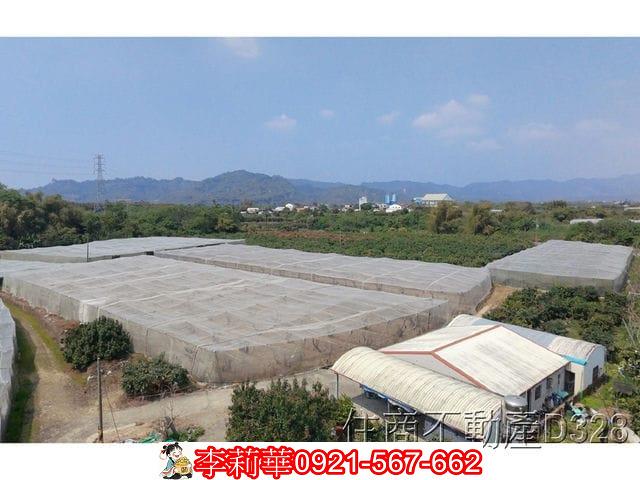 玉井農地-9