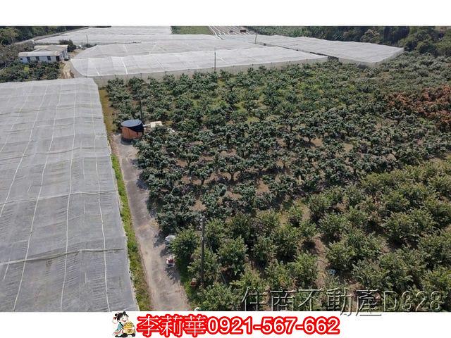 玉井農地-2