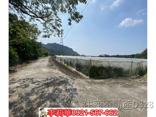 玉井農地-5