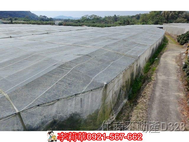 玉井農地-7