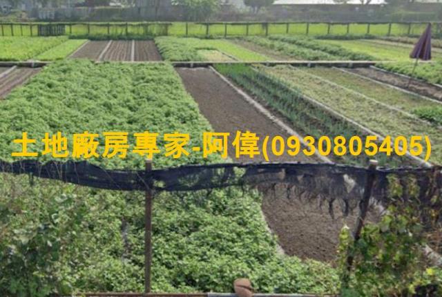 高雄大寮農地-0