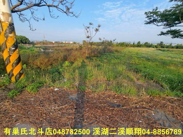 田中農地-0