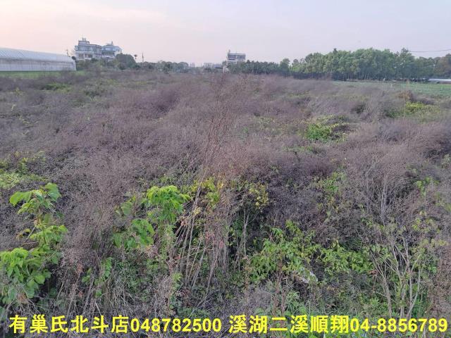 田尾農地-3