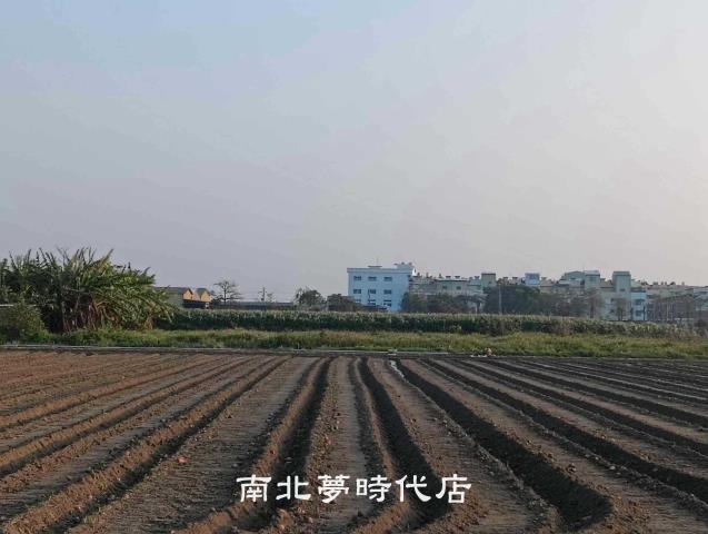 台南佳里農地-9