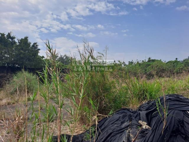 嘉義梅山農地-2