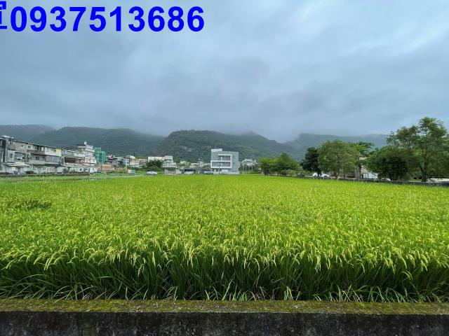 宜蘭農地-2