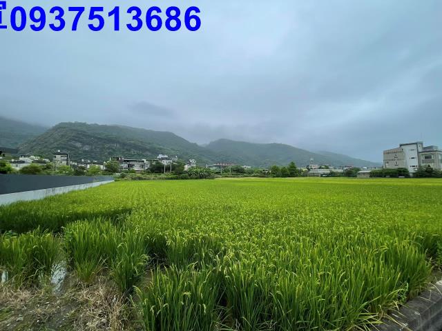 宜蘭農地-6