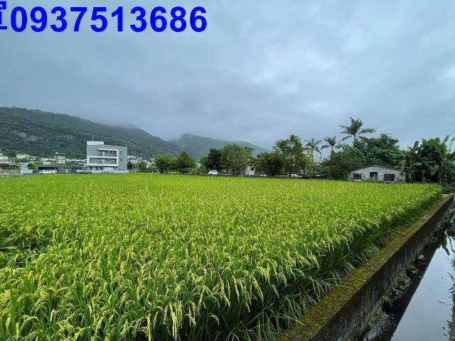 宜蘭農地-8