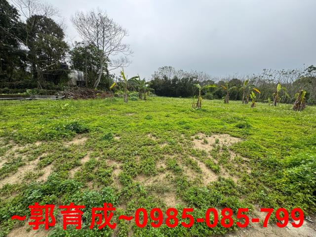嘉義中埔農地-2