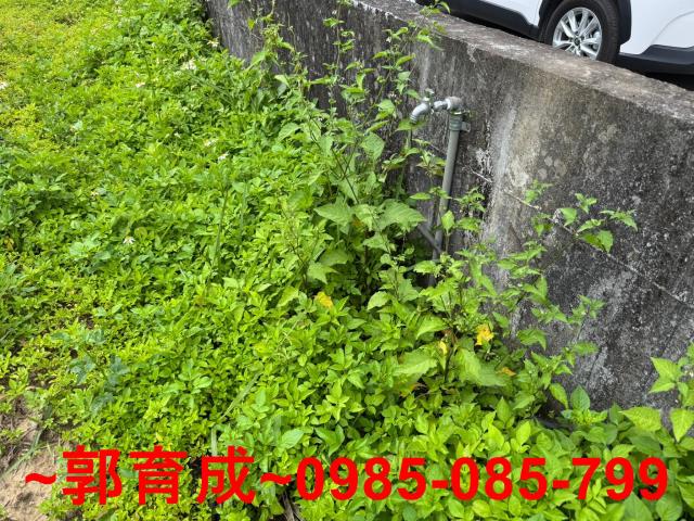 嘉義中埔農地-4
