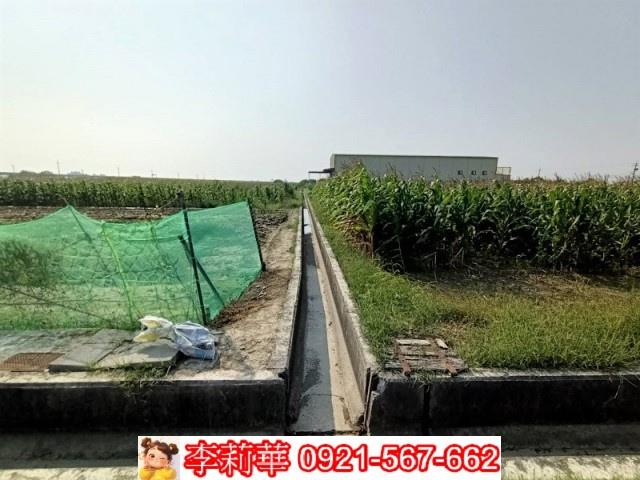 下營農地-9