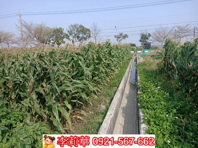 下營農地-10