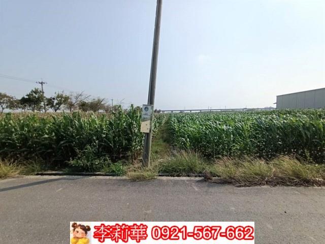 下營農地-5