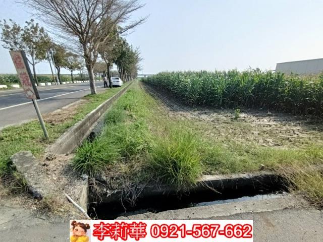 下營農地-6