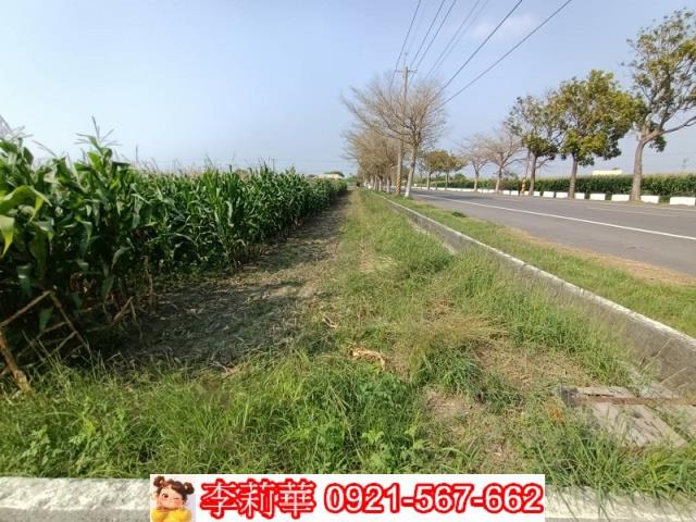 下營農地-7