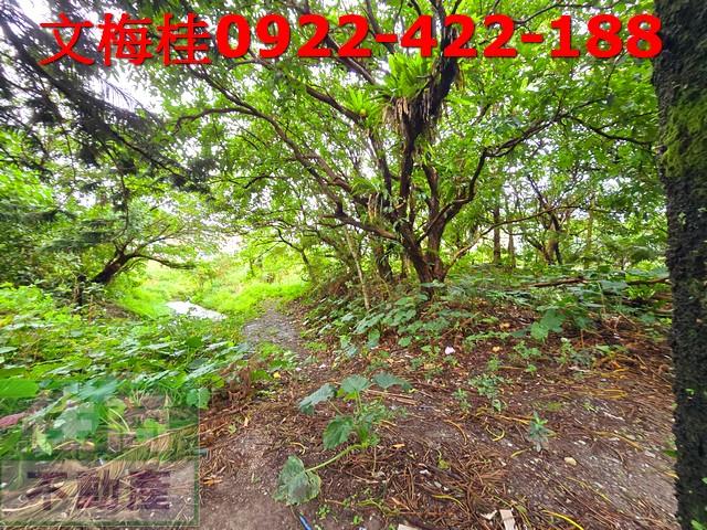 宜蘭頭城建地-0