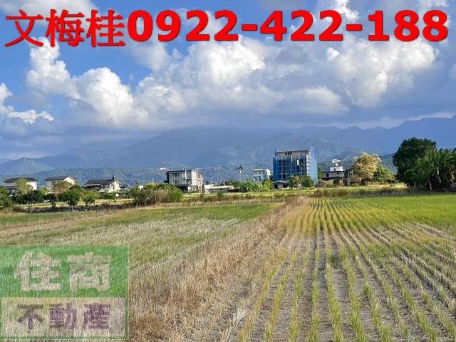 宜蘭三星農地-3