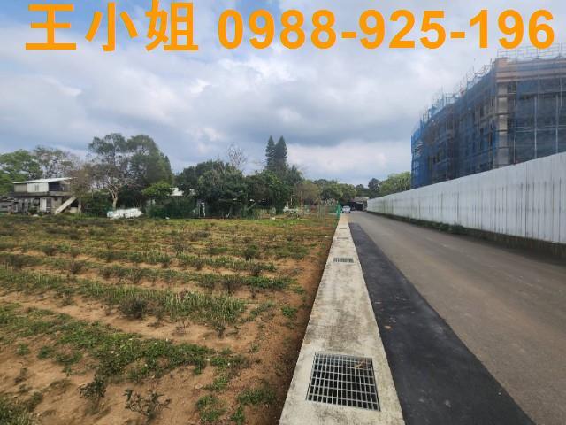 桃園龍潭建地-4