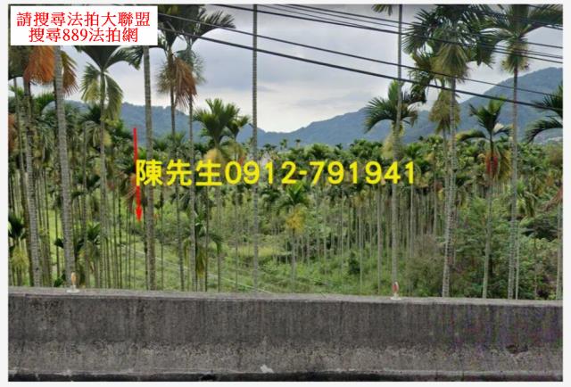 大安法拍大安農地大安土地