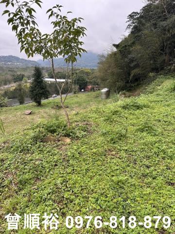 橫山農地-12