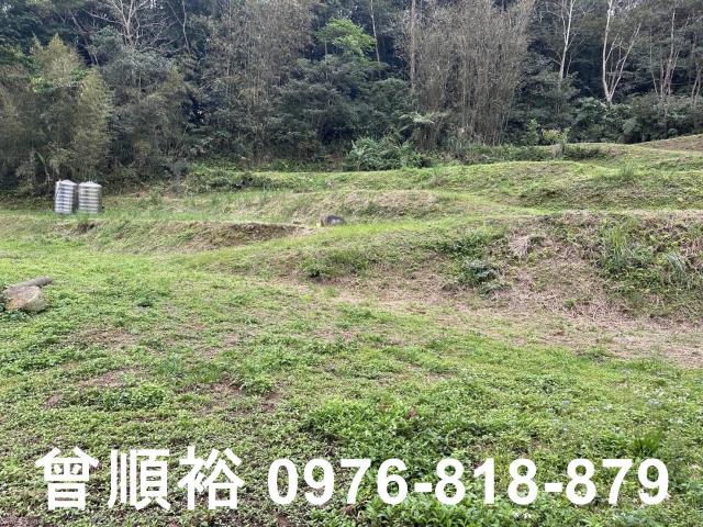 橫山農地-6