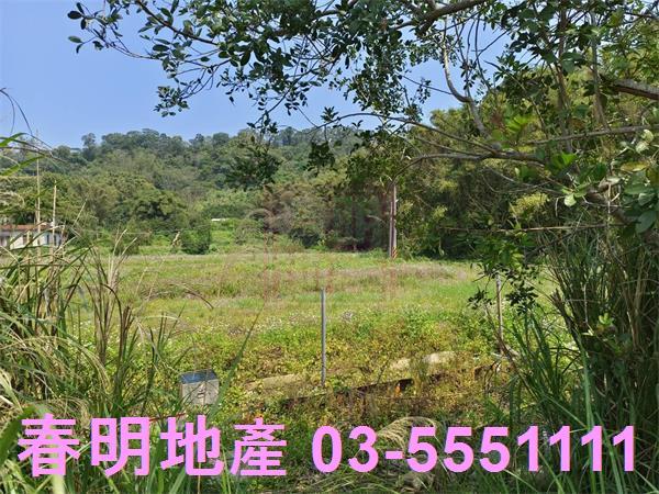 新竹峨眉農地-3