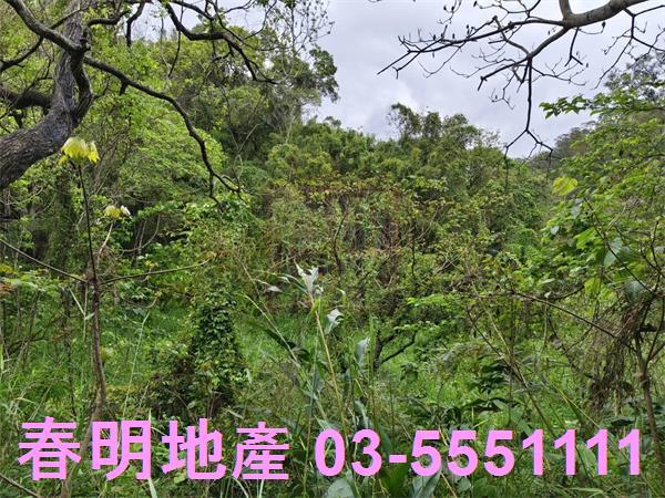 新竹峨眉農地-9