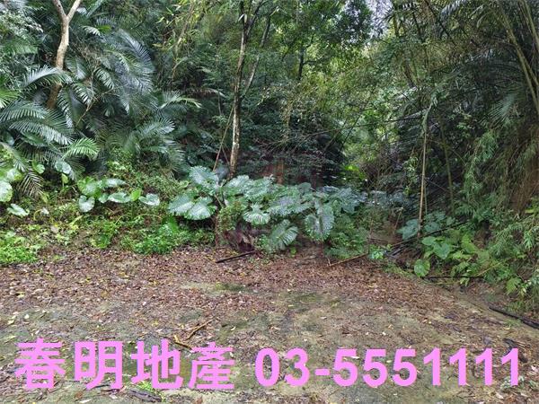 新竹峨眉農地-0
