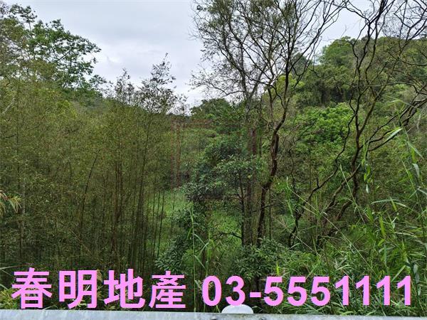 新竹峨眉農地-1