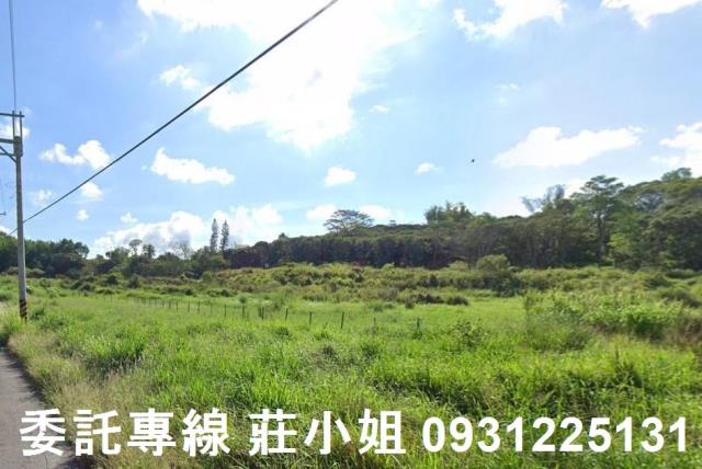 新化農地-5